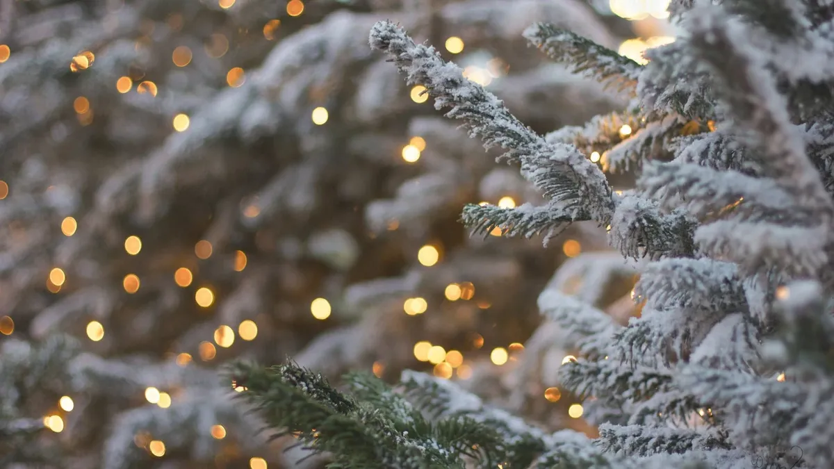 Морозно и снежно: погода на Новый год 31 декабря для Новосибирска и Бердска 
