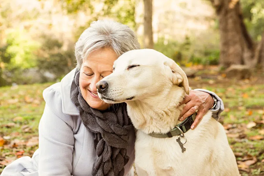 Собака поможет вам избежать инвалидности в старости, а кошка - нет: исследование показало, что владельцы собак в 70 и 80 лет в 2 раза реже становятся инвалидами