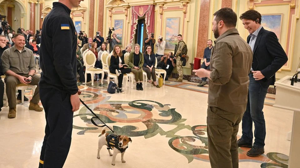 Зеленский наградил медалью пса-сапера Патрона, который нашел более 200 мин во время военной операции на Украине 
