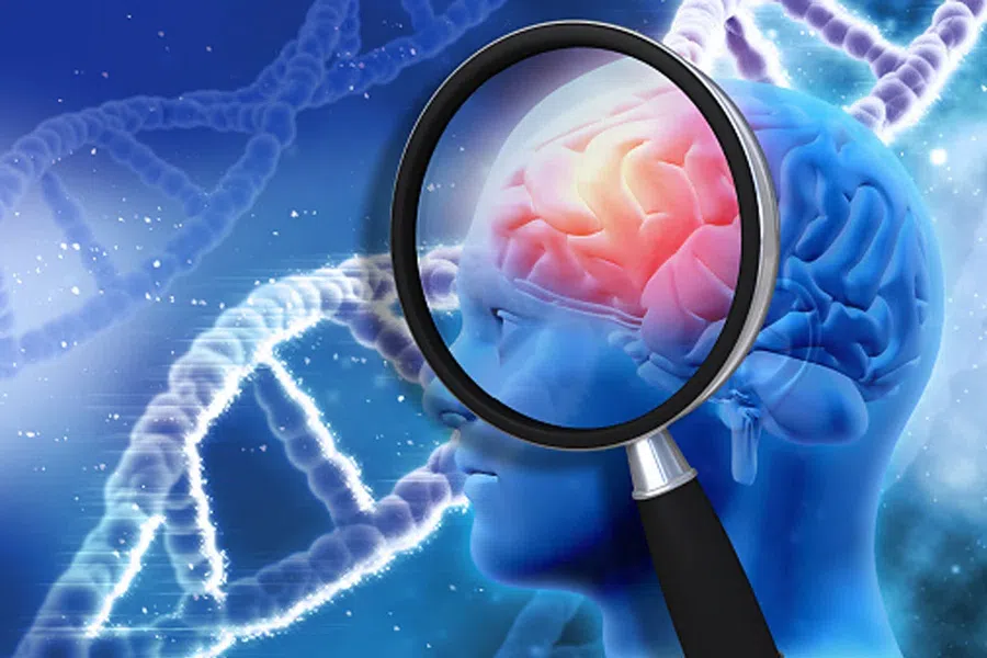 Новый ген, связанный с болезнью Альцгеймера, обнаружили в иммунных клетках мозга. Можно его удалить и вылечиться?