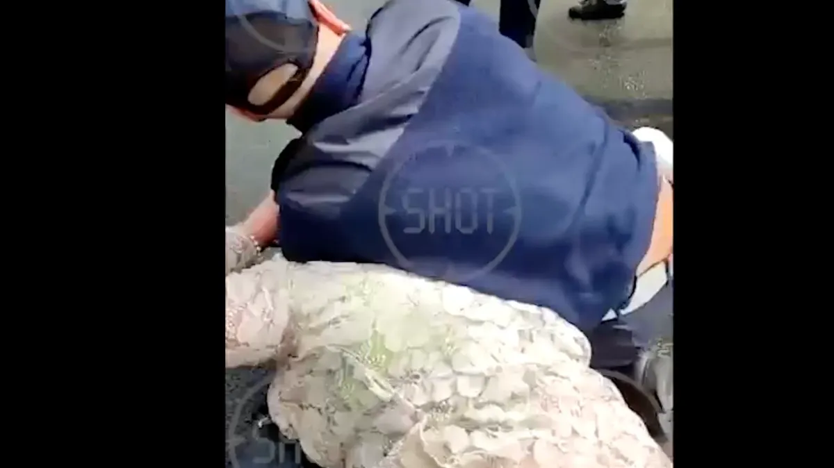 Жительница Санкт-Петербурга покусала полицейского. Фото: телеграмм-канал SHOT