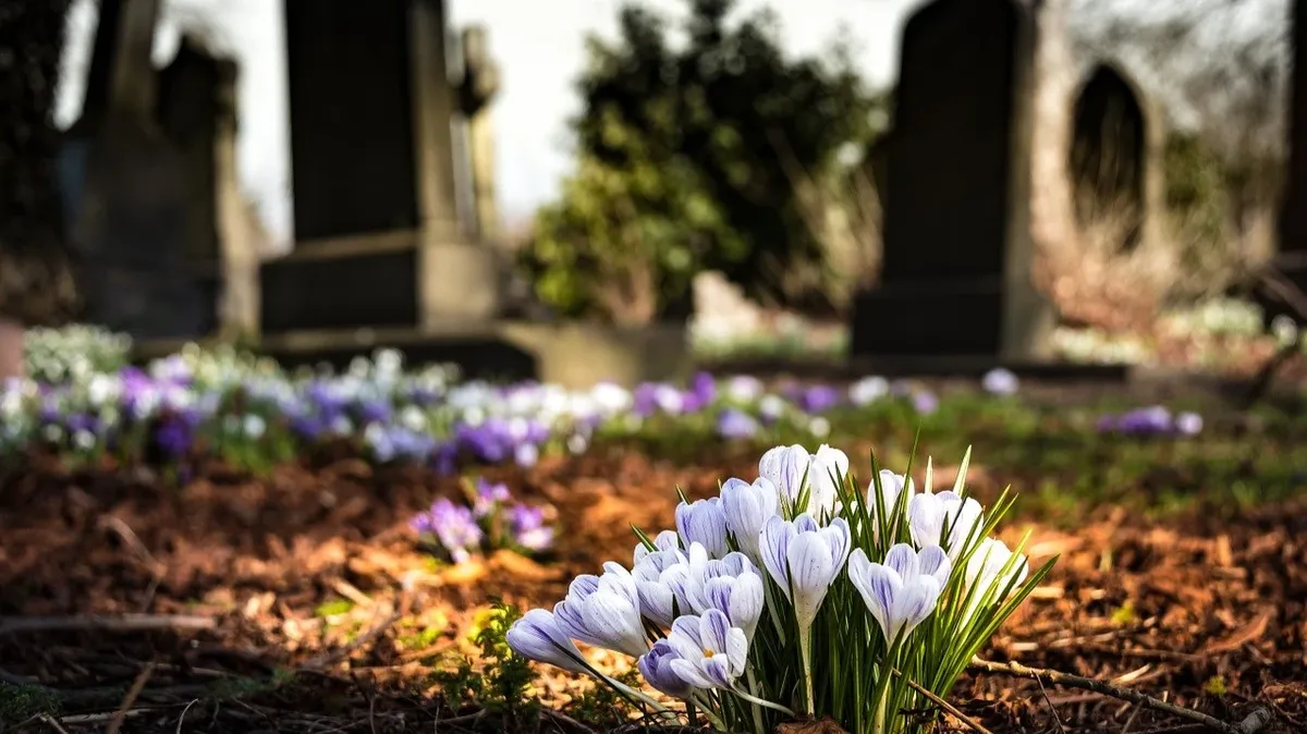 Каждому важно знать, когда кладбище посещать не следует. Фото: Pxfuel.com