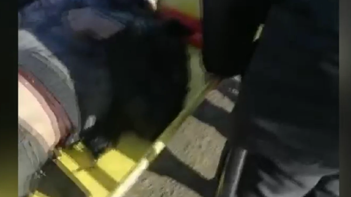«Лежит в овраге за домом» В Новосибирске спасли мужчину без сознания – видео