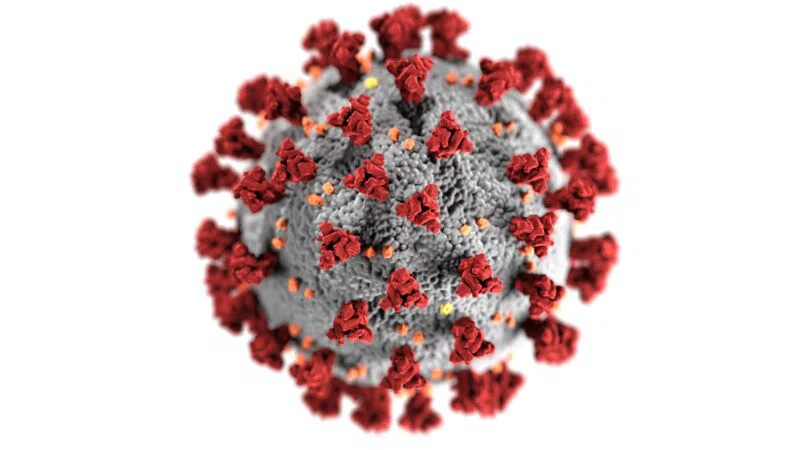 «Русский штамм» коронавируса практически исчез, заявили в Роспотребнадзоре