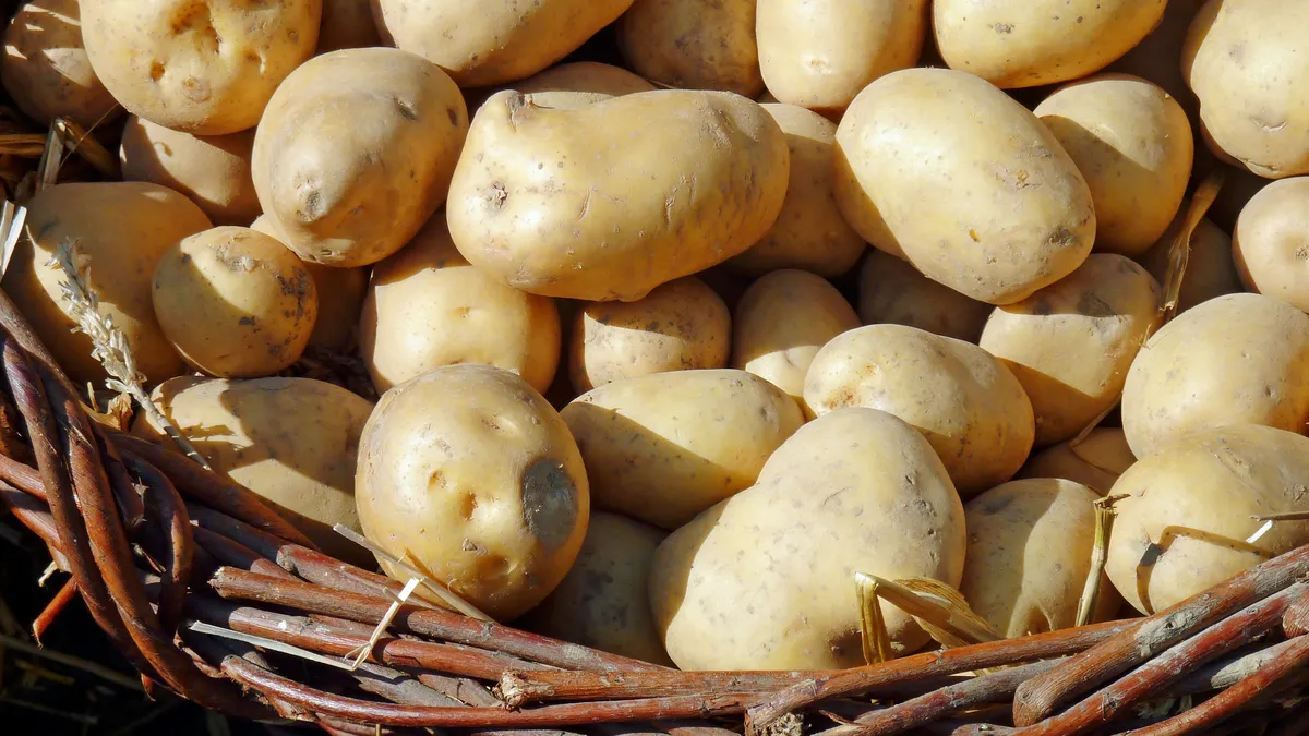 Следует внимательно осмотреть каждую картофелину на наличие гнили или повреждений. Фото: pxhere.com