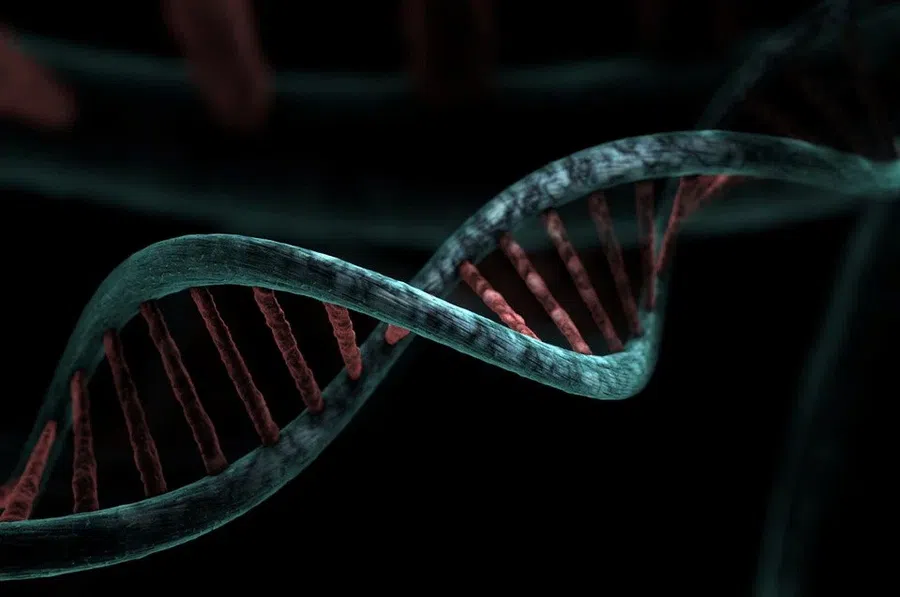 Лечение туберкулеза: анализ ДНК выявил ген, заставляющий умирать зараженные туберкулезом клетки