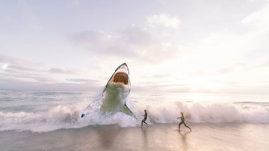 В США 16-летний подросток подрался с напавшей на него акулой и выиграл