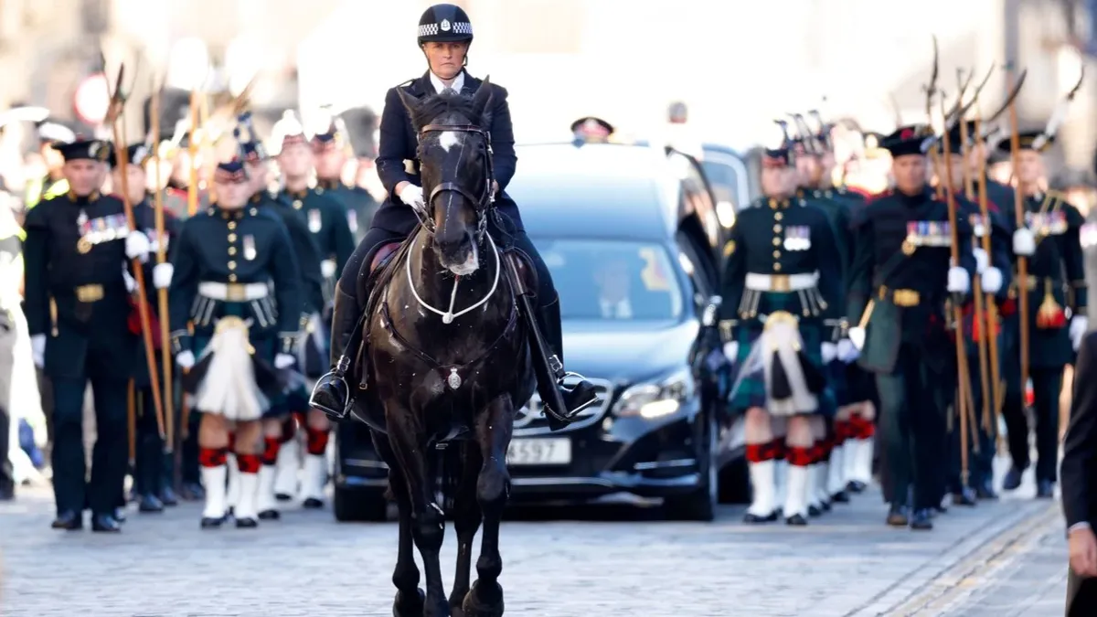 Лондон готовится к масштабной операции по обеспечению безопасности в преддверии похорон королевы Елизаветы II 