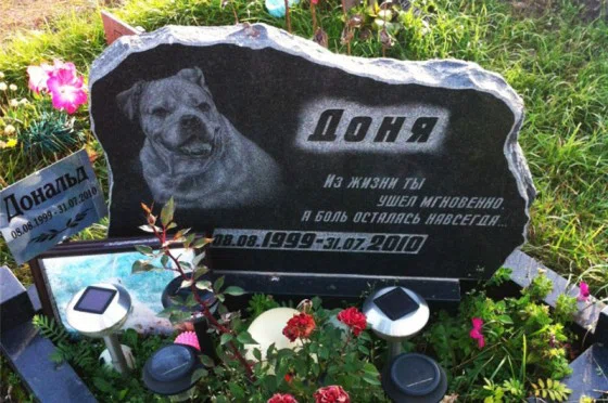 В некоторых городах России есть такие кладбища. Люди устанавливают своим усопшим четвероногим друзьям памятники с трогательными эпитафиями 