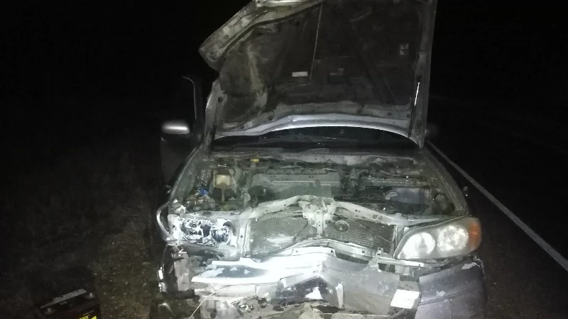В Красноярском крае мать и 10-летний сын погибли в аварии с мотоблоком с прицепом 