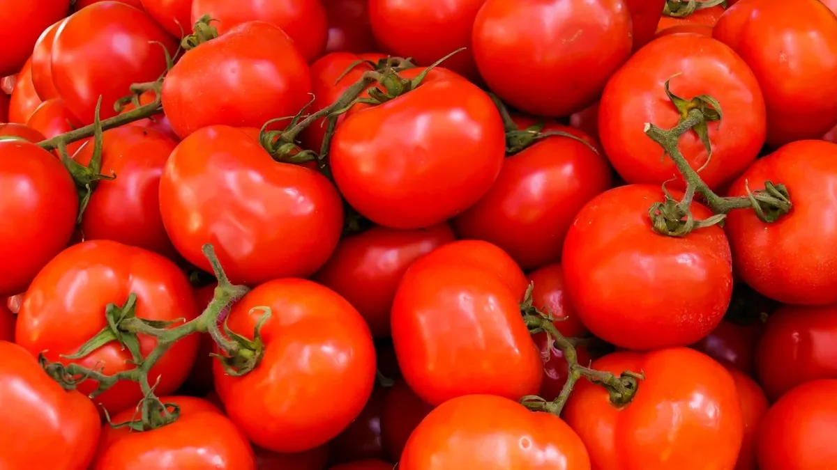 Что будет, если не пикировать томаты: лунный календарь для высаживания рассады томатов в апреле и мае 2022 года