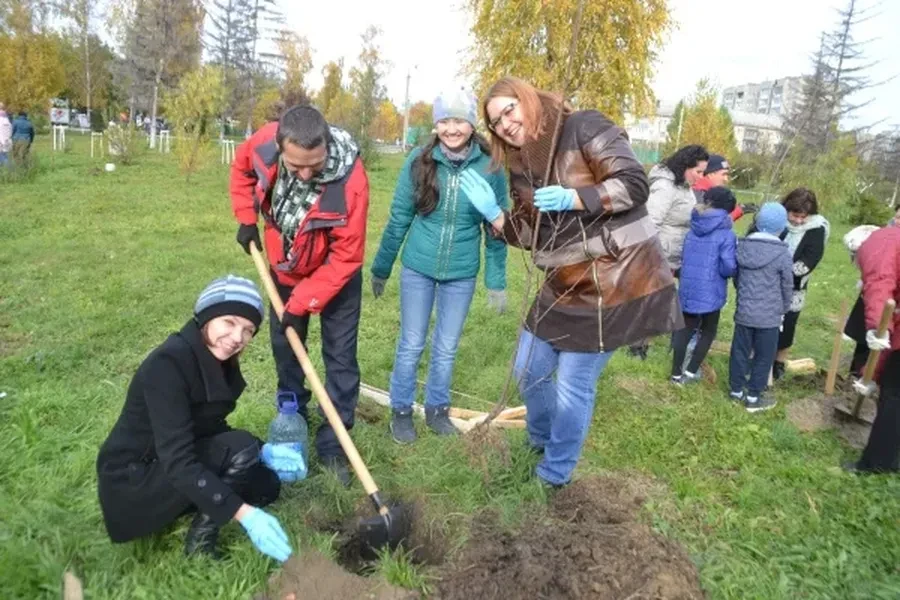  Молодые педагоги тоже участвовали в посадке деревьев
