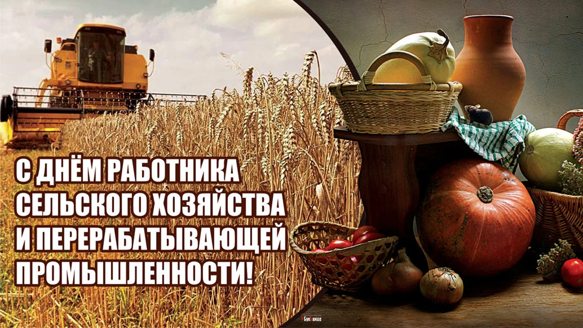 День работника сельского хозяйства и перерабатывающей промышленности. Иллюстрация: «Курьер.Среда»