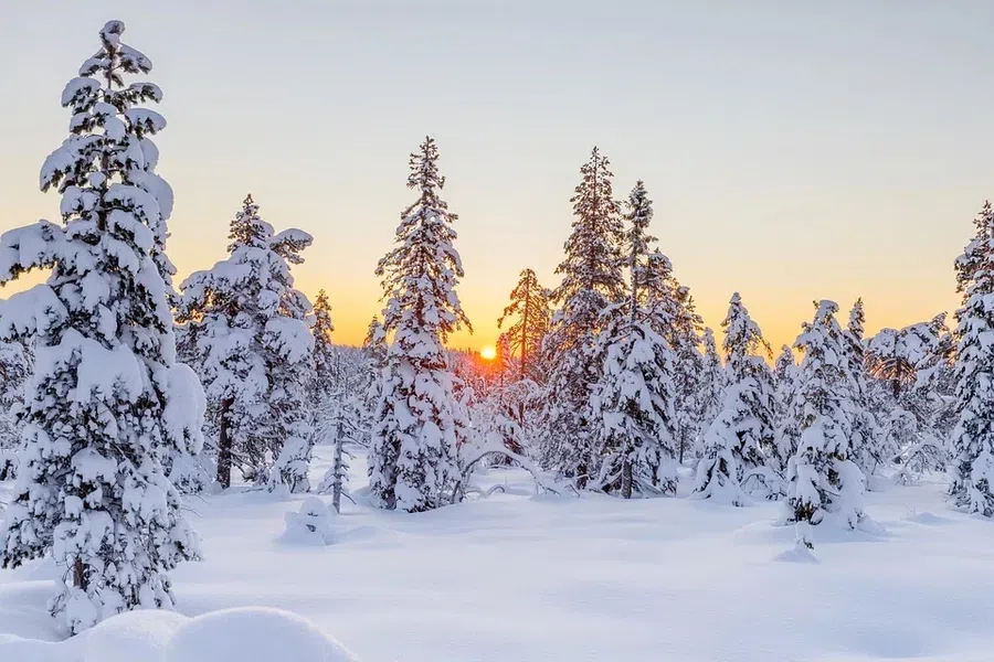Погода в декабре, январе и феврале в регионах Сибири в 2021-2022 годах