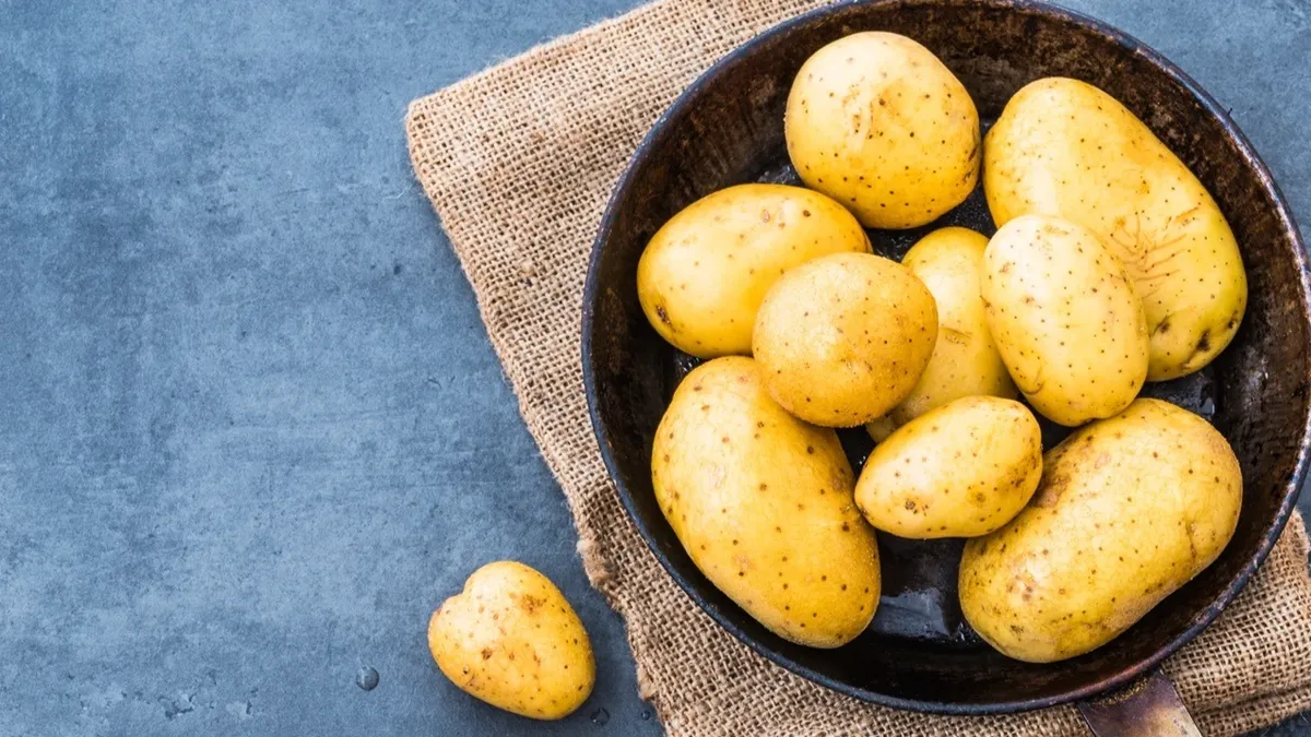 Сажаем картошку: лучшие дни по лунному календарю для посадки картофеля -  17, 22, 23, 24 мая 