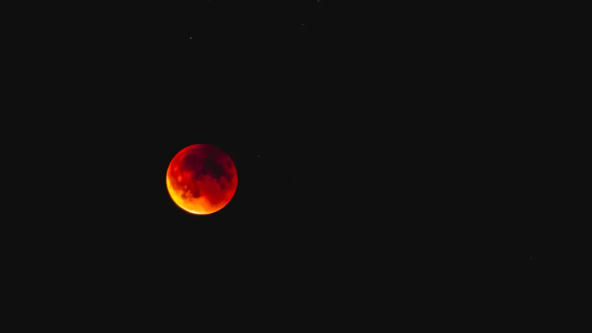 Кровавая  луна 8 ноября 2022: Полнолуние Бобра и полное Лунное затмение – точное время, где увидеть, особенности явлений 
