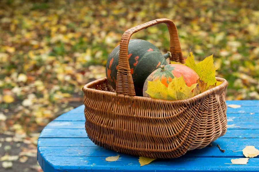 Что можно и нельзя делать в праздник Осенины 24 сентября: Благоприятный день для заготовок