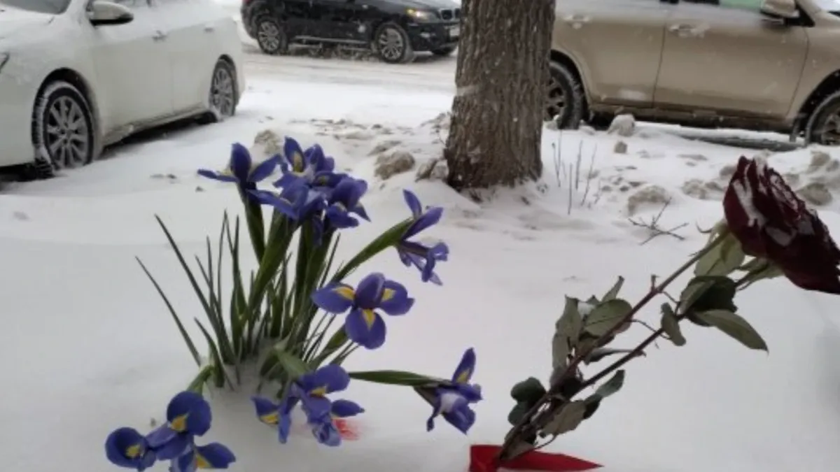 Жители Новосибирска несут цветы к месту гибели девушки, упавшей на парня с крыши
