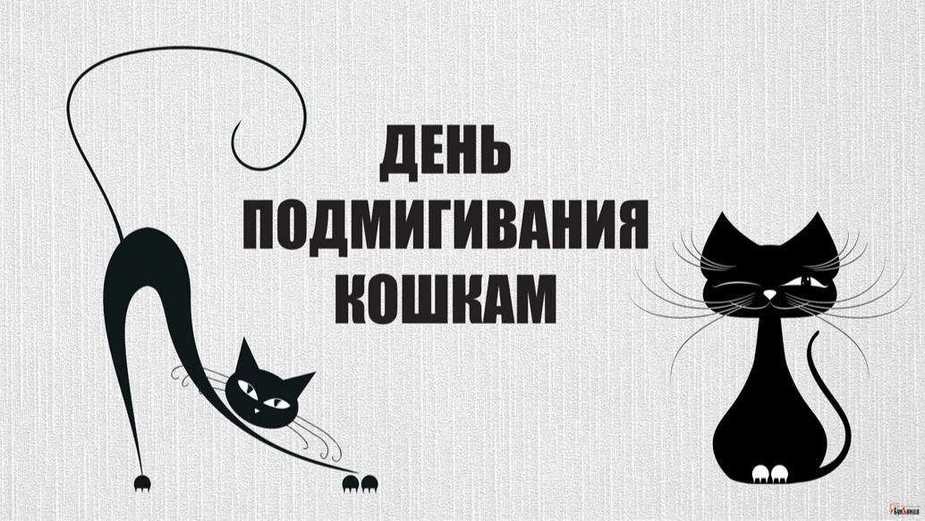  День подмигивания кошкам. Иллюстрация: «Курьер.Среда»