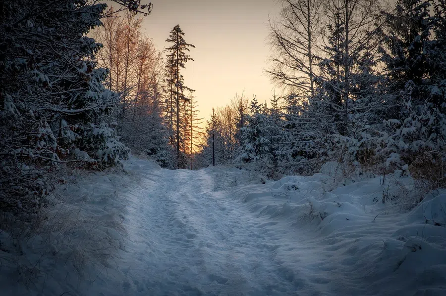 Погода в Бердске 22 декабря 2021: прояснение и потепление до -4 ожидается в середине недели