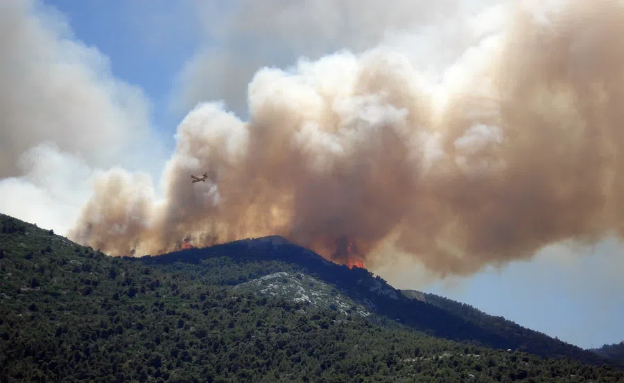 Террористы взяли вину на себя за страшные лесные пожары в Турции