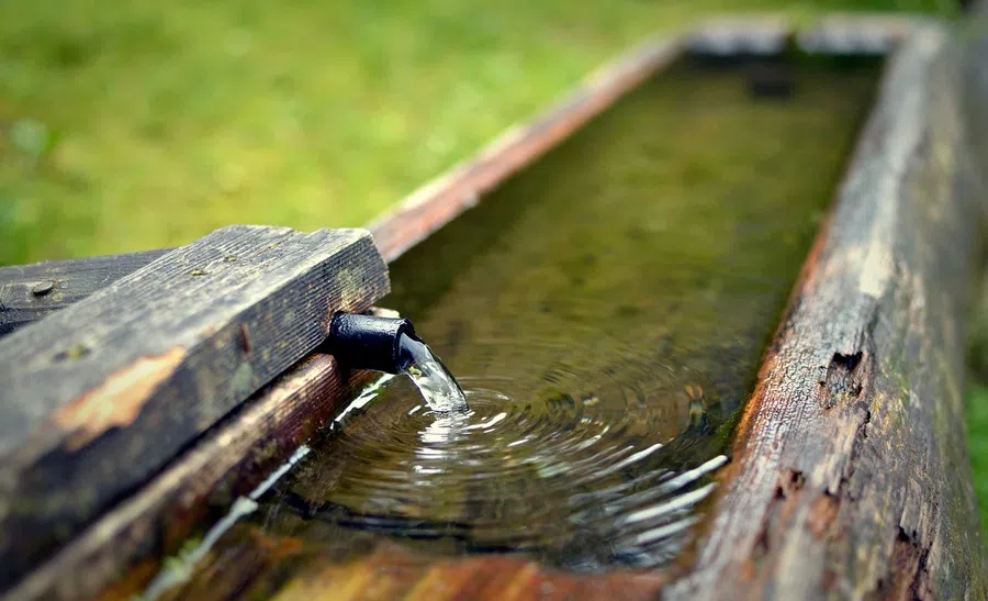 Почему набранную утром 27 октября на Параскеву Сербскую воду называют «аджией»: воду считают лекарством от болезней и страдания