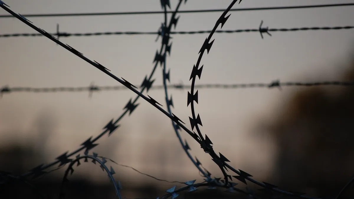 На Украине отпускают заключенных, согласных сражаться с Россией. Фото: pixabay.com