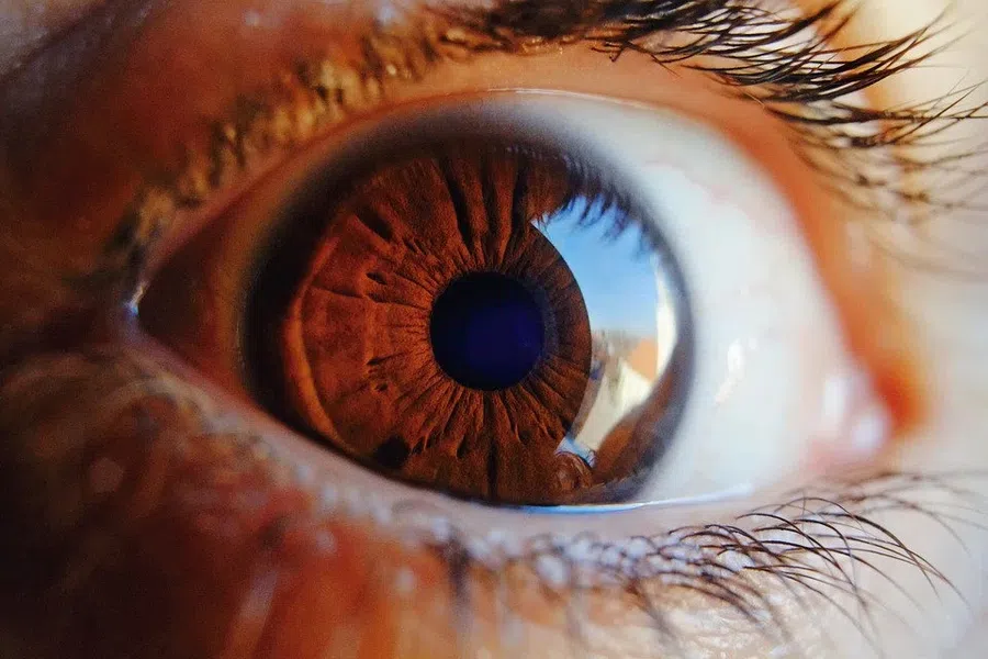 Сканирование сетчатки глаза может выявить риск сердечного приступа