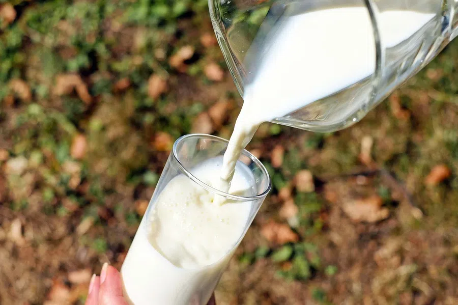 «Я не пью молоко»: как и откуда получить достаточное количество кальция и других питательных веществ