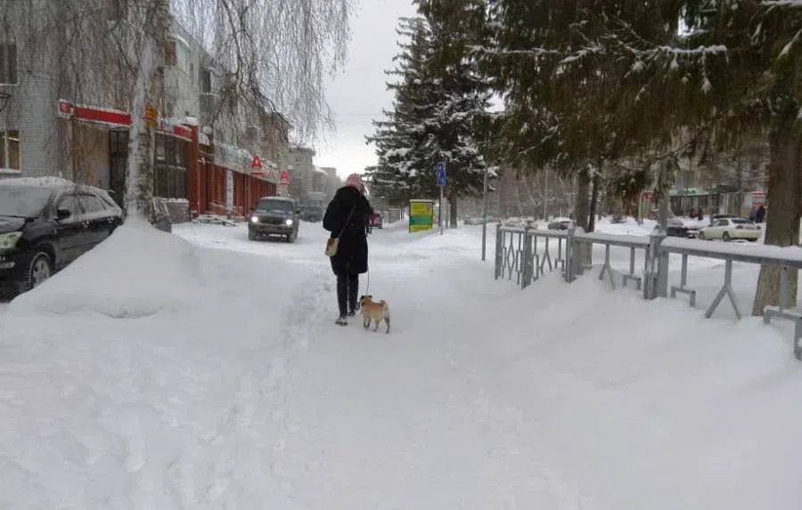 Оттепель ожидается в новогоднюю ночь после 30-градусных морозов в Новосибирской области
