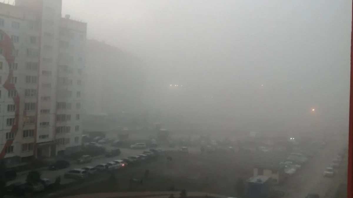 В Новосибирске заметно ухудшилось качество воздуха. Фото: инцидент Новосибирск