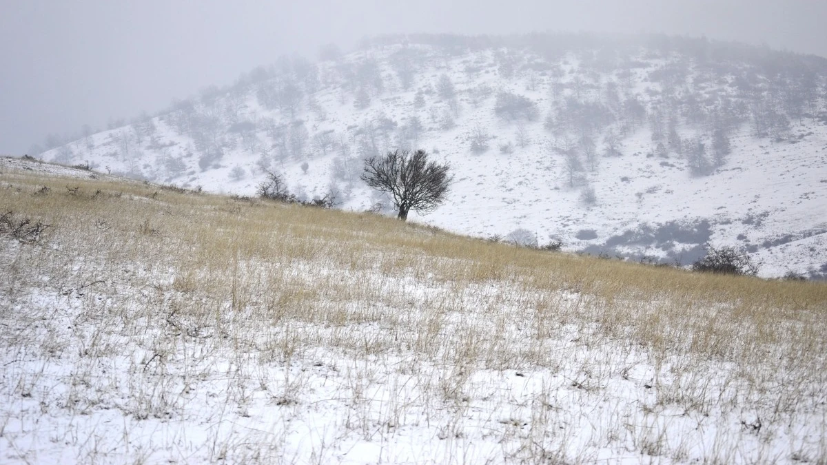 Если в этот день первый снег выпал на сухую землю, а деревья не сбросили листья полностью – то снег скоро сойдет. Фото: pxhere.com