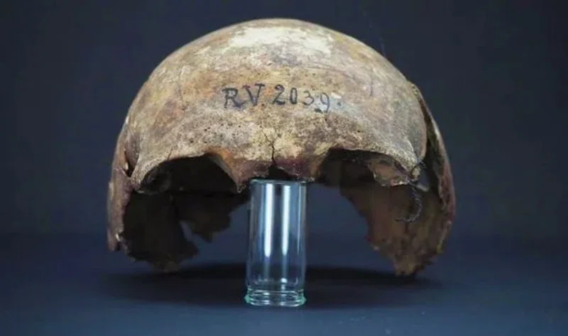 Археологи нашли зараженный чумой 5000-летний череп человека