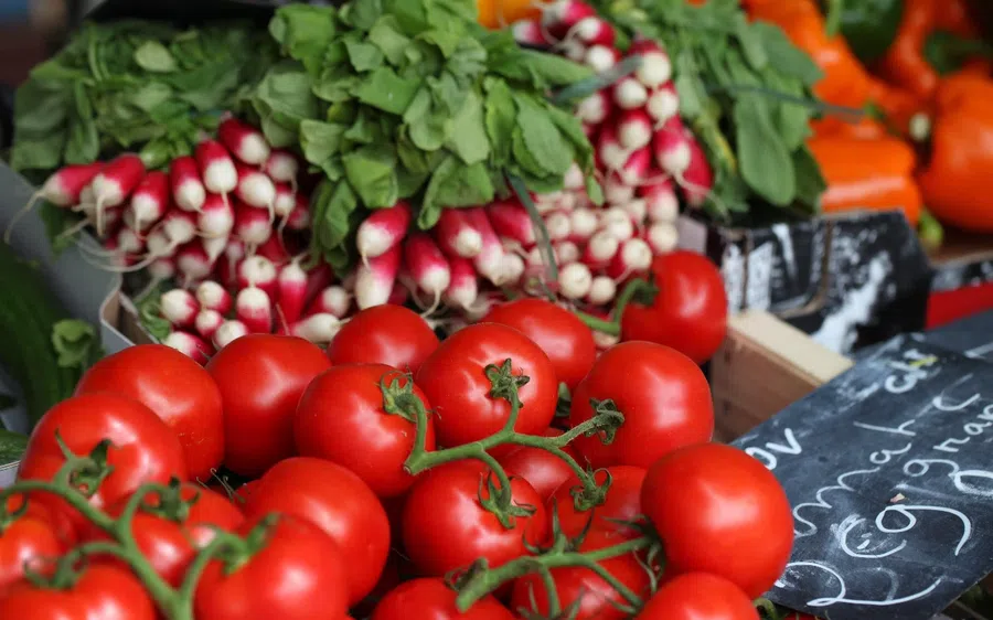 Чем поливать рассаду томатов, огурцов, перцев и баклажанов для хорошего роста: лунный календарь на пикировку в марте, апреле, мае 2022 года