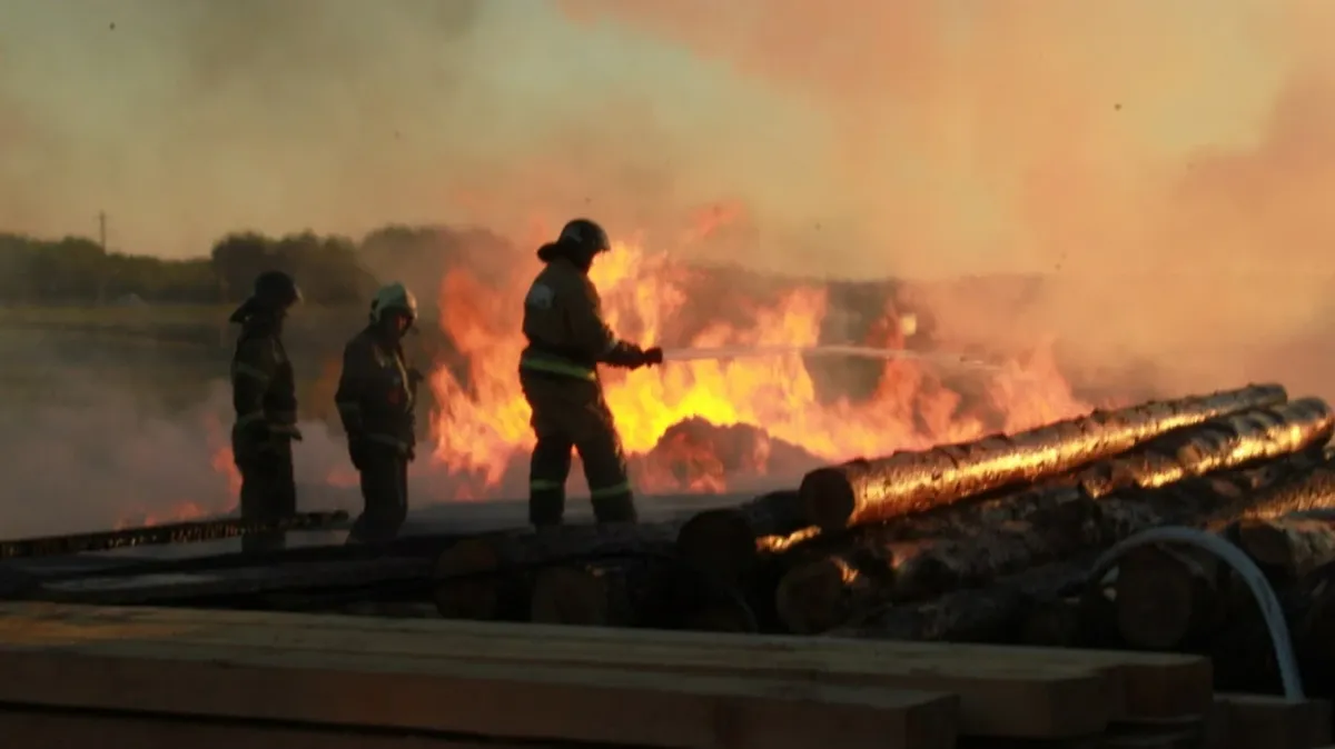 в Оренбургской области 200 пожарных и самолет ИЛ-76 борются с огнем, охватившим более 43 га леса, в 6 районах возможна эвакуация – видео