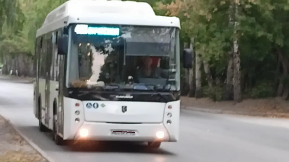 Выскочил и начал «наяривать»: новосибирцы жалуются на эксгибициониста в автобусе – мужчину не могут поймать несколько лет