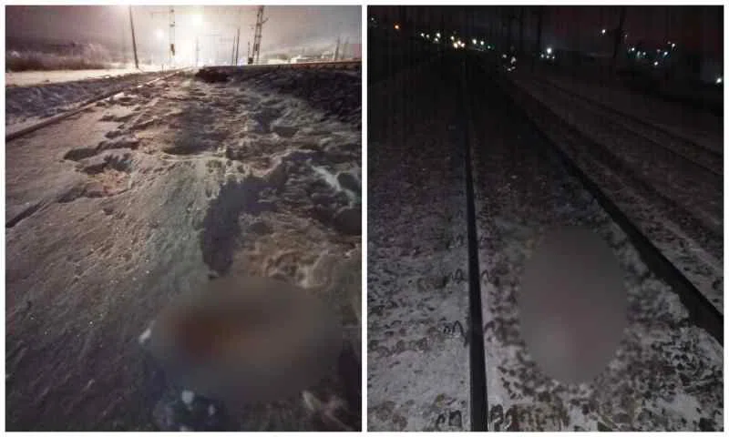 Грузовой поезд насмерть сбил пенсионера под Новосибирском. Пожилой пешеход не успел перебежать пути