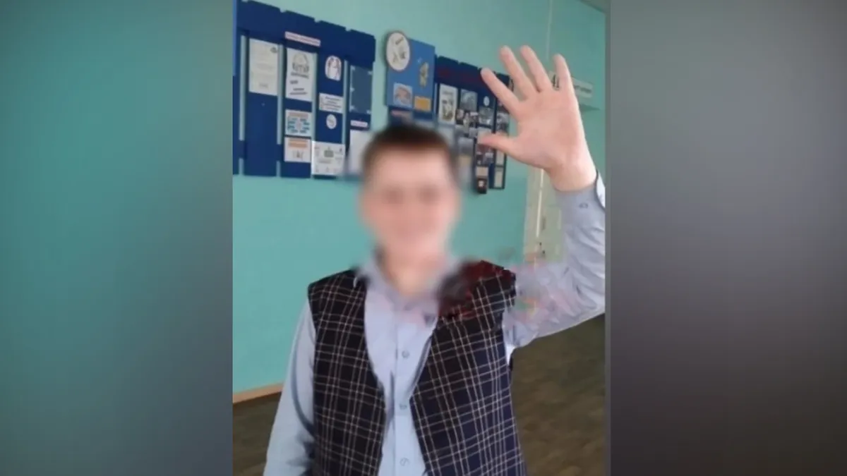 «Несчастный случай, сказал следователь» В Алтайском крае 6-классника нашли мертвым на шведской стенке