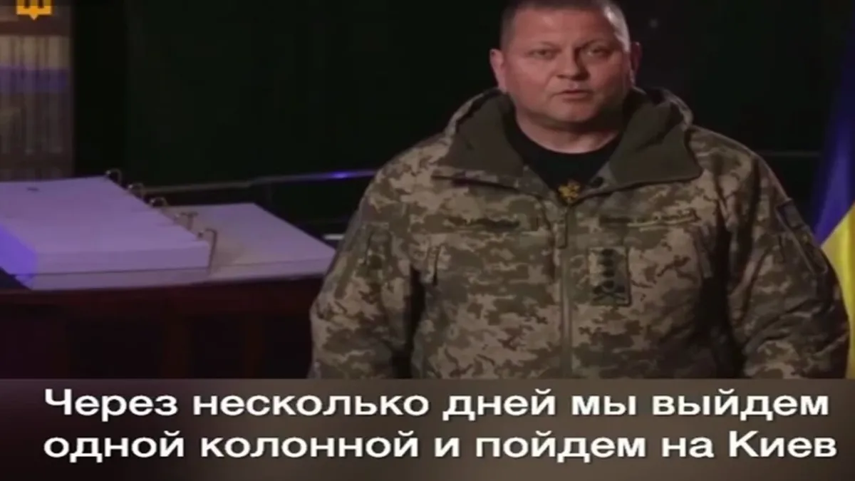 Залужный «поднимает» солдат идти маршем справедливости на Киев – в Сети выложено очередное видео 