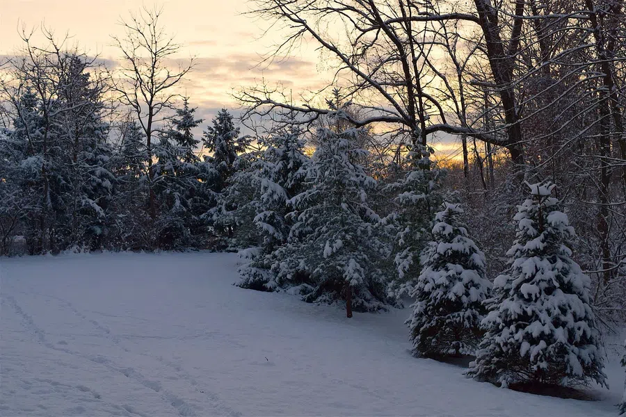 Погода в Бердске 1 января 2021: морозная и солнечная погода в первый новогодний день ожидает горожан