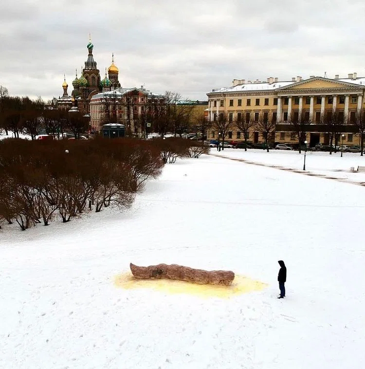 Художника из Петербурга арестовали из-за пятиметровой инсталляции в виде фекалий на Марсовом поле