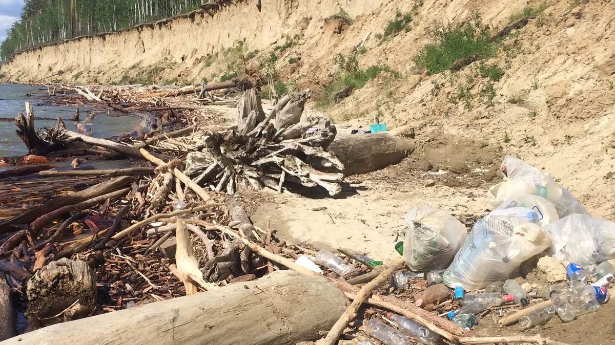 В Бердске пляж на Обском море завален мусором после «чистой» акции: мешки с отходами так и не вывезли 