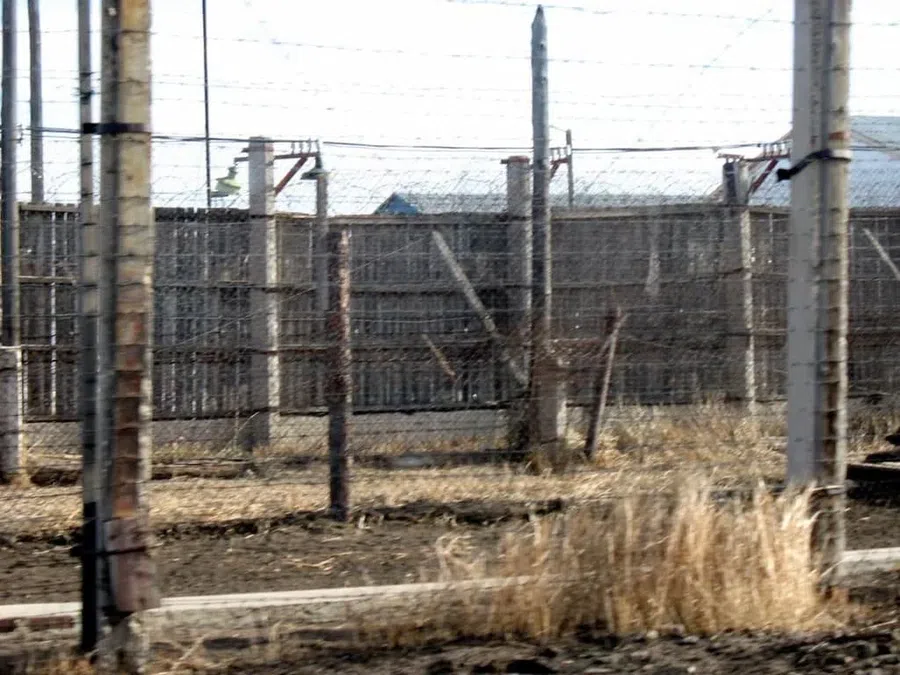 Заключенный укусил охранника при обыске перед отправкой штрафной изолятор в колонии Калининграда