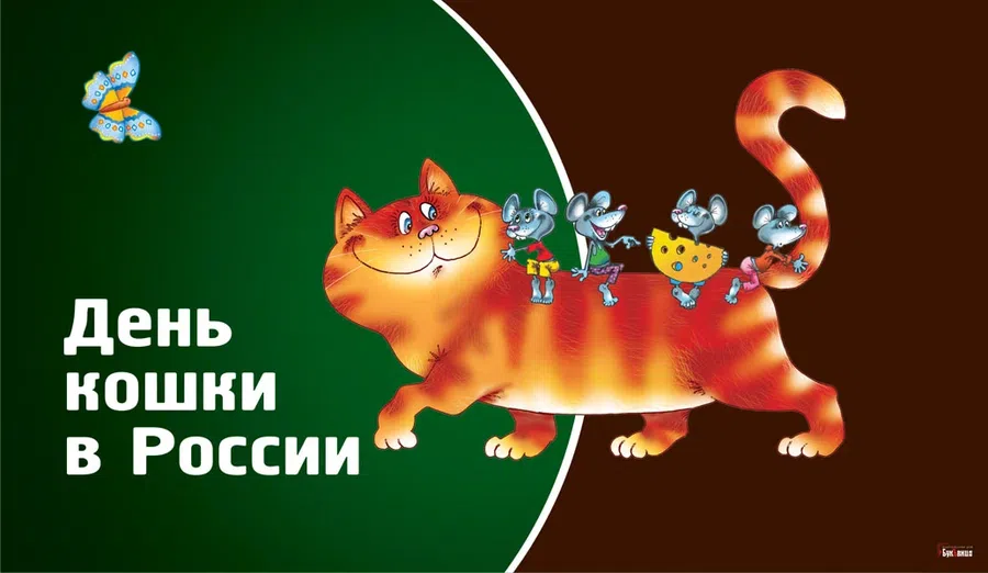 Всемирный день петербургских котов и кошек