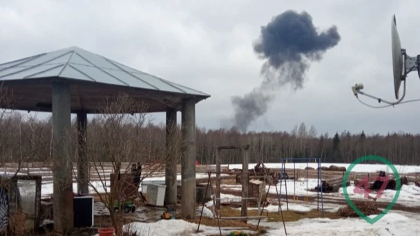 В поселке Торковичи Ленинградской области рухнул легкомоторный самолет: около озера столб черного дыма