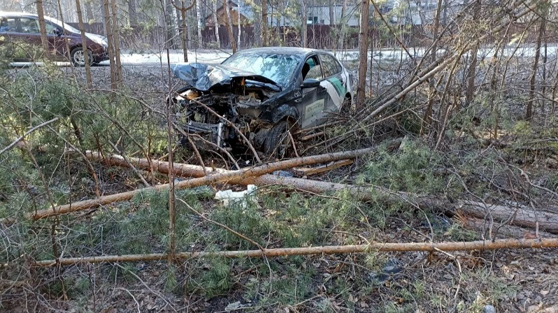Автомобиль влетел в сосну. Фото: АвтоБердск