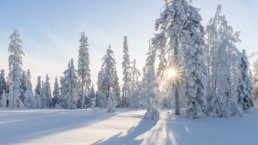 21 декабря 2021 – День Зимнего солнцестояния: день радости и счастья. Что важно успеть сделать и что запрещено?