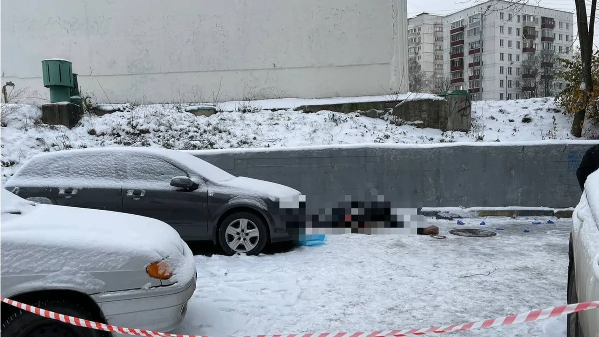 В Москве обнаружен труп зарезанной в грудь женщины. Тело нашли рядом с домом убитой – видео 