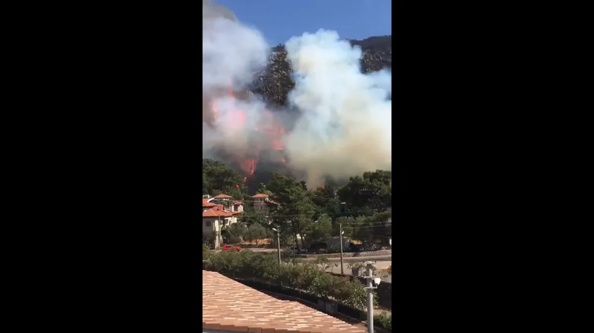 На турецком лесном курорте полыхает огромный пожар