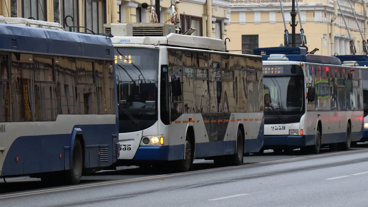 В Новосибирске на Троицу пустят спецавтобусы до Заельцовского кладбища
